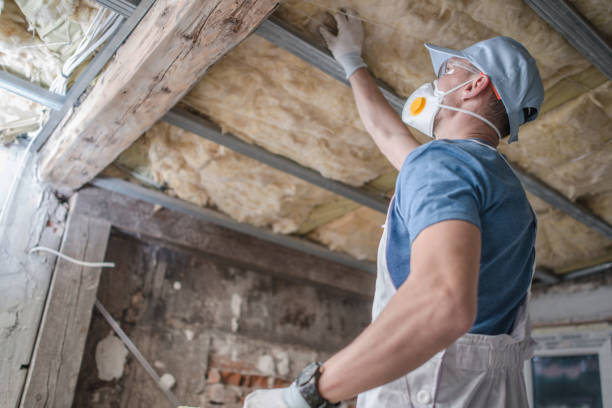 Insulation Replacement Services in Semmes, AL