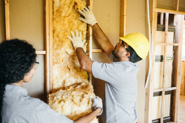 Best Insulation Removal  in Semmes, AL