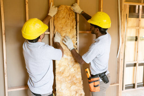 Best Soundproof Insulation Installation  in Semmes, AL