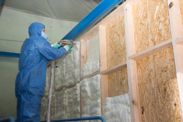 Insulation Replacement Services in Semmes, AL